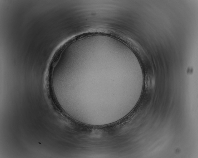 X0000103320388200809261142