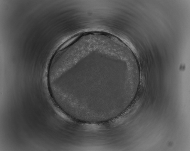 X0000103320389200809261142