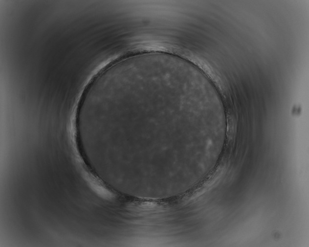 X0000103320390200809261141