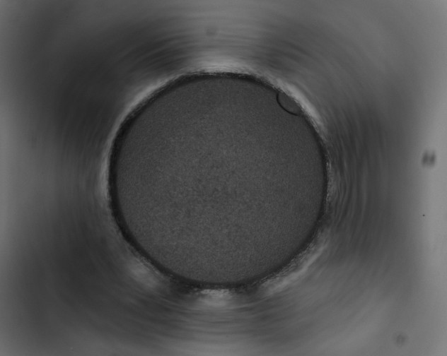 X0000103320391200809261141