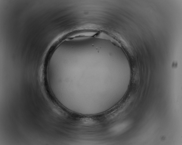 X0000103320392200809261141