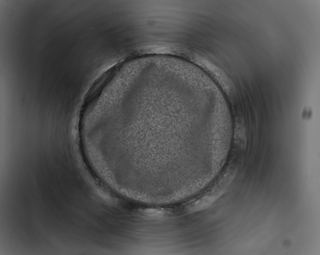 X0000103320394200809261141