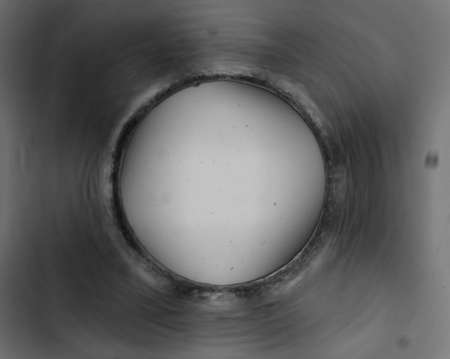 X0000103320395200809261141