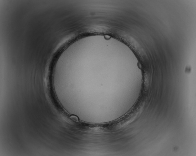 X0000103320396200809261141