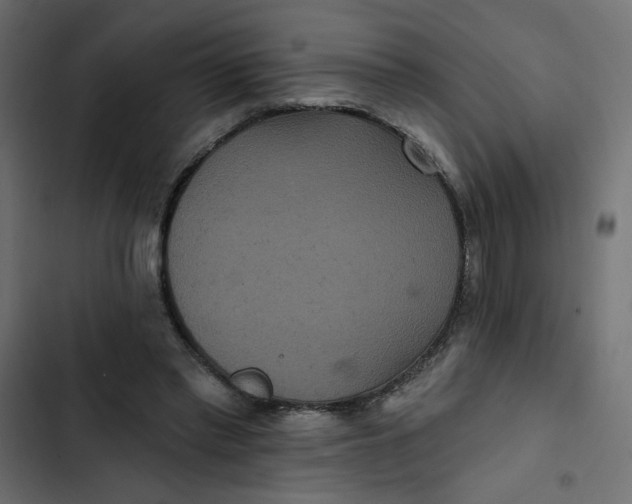 X0000103320397200809261141