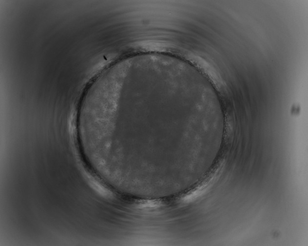 X0000103320398200809261141