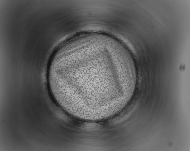 X0000103320399200809261141