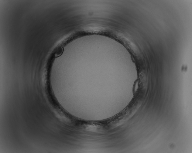 X0000103320400200809261141