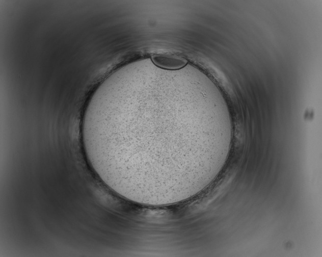 X0000103320401200809261141