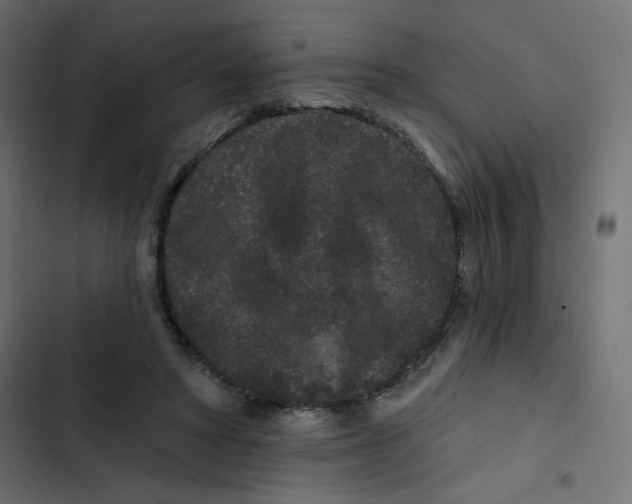 X0000103320402200809261141