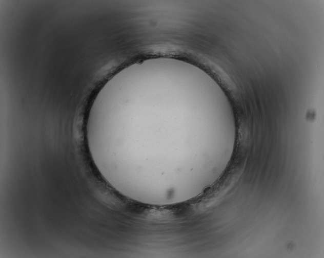 X0000103320403200809261141