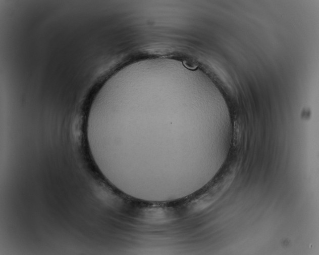 X0000103320404200809261141