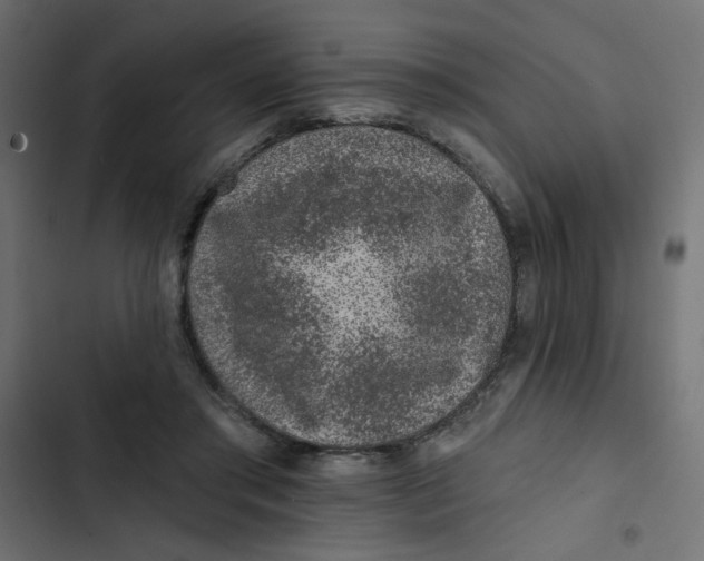 X0000103320405200809261141