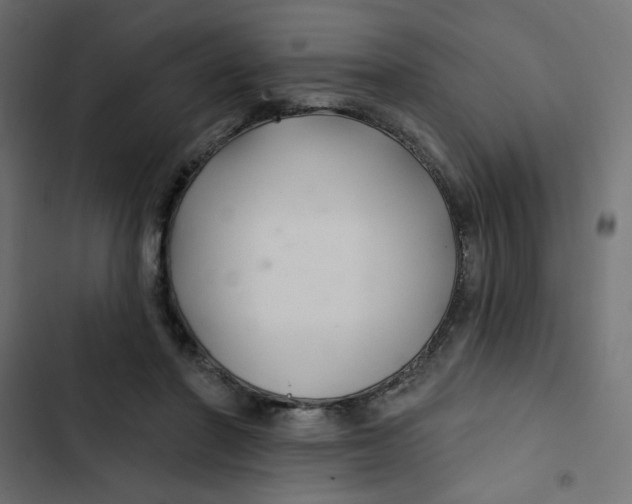 X0000103320406200809261141