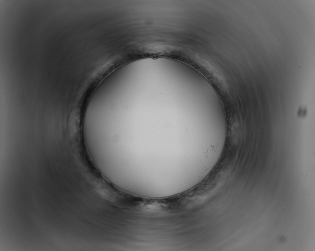 X0000103320407200809261141