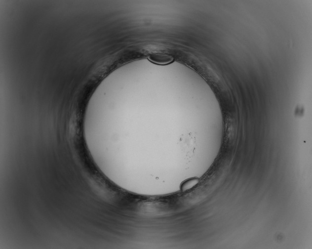 X0000103320408200809261141