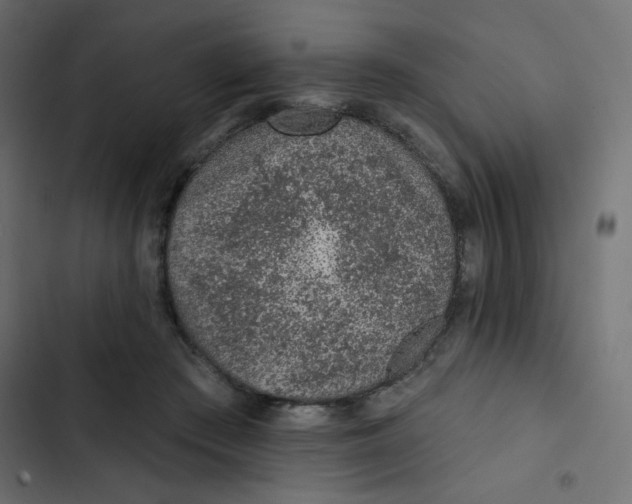 X0000103320409200809261141