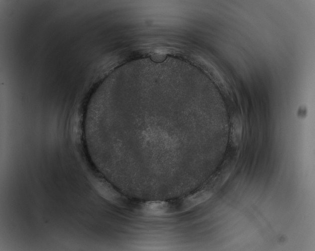 X0000103320410200809261141