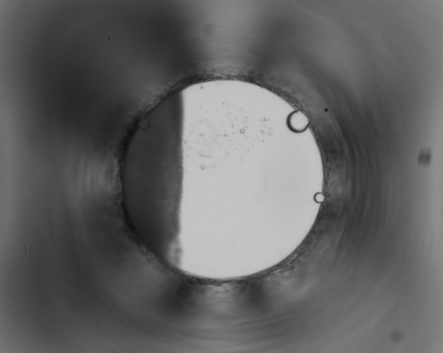 X0000103320411200809261141