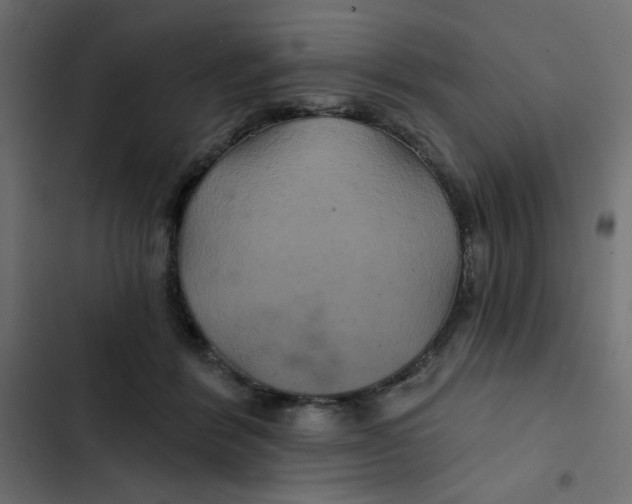 X0000103320412200809261141