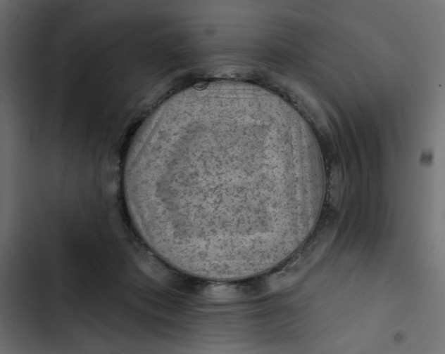 X0000103320413200809261141