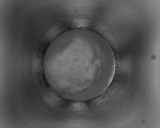 X0000103320415200809261141