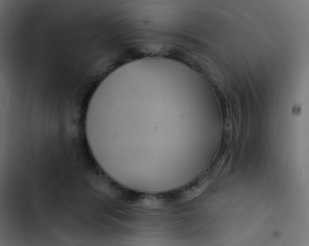 X0000103320416200809261141