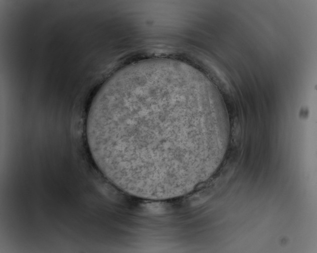 X0000103320417200809261141