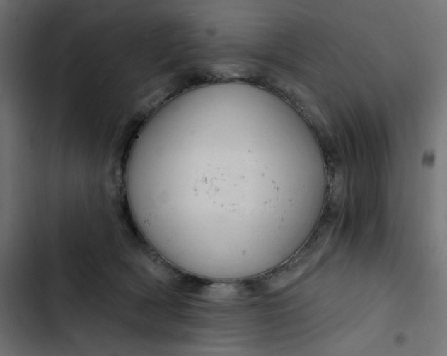 X0000103320418200809261141