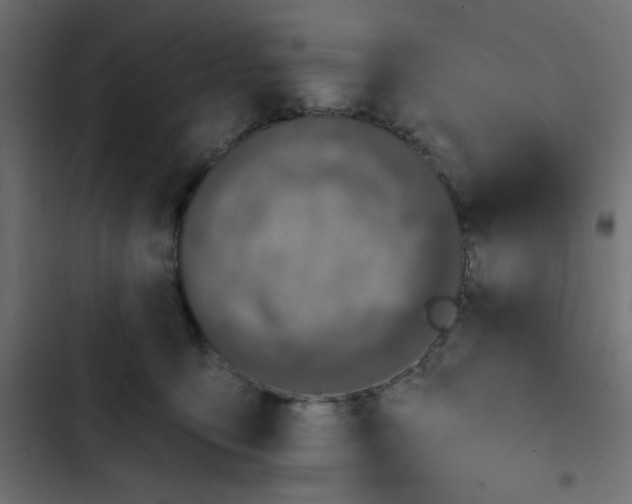 X0000103320419200809261141