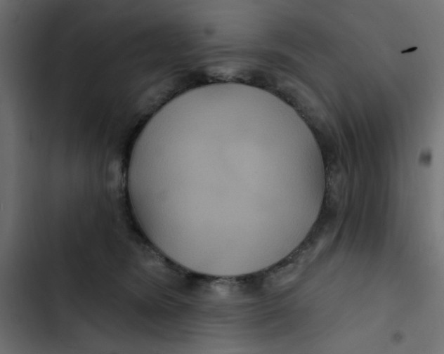 X0000103320420200809261141