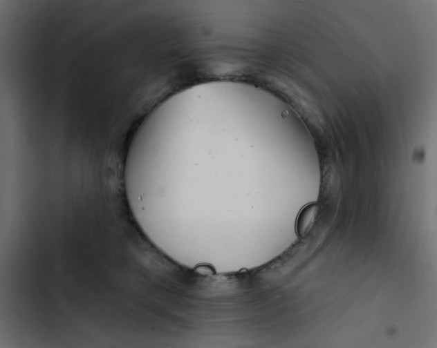 X0000103320421200809261141