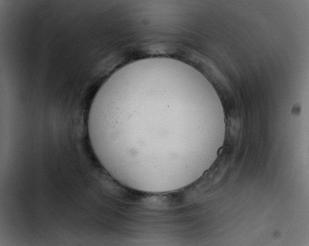 X0000103320422200809261141