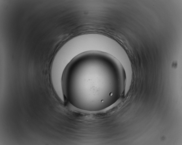 X0000103320423200809261141