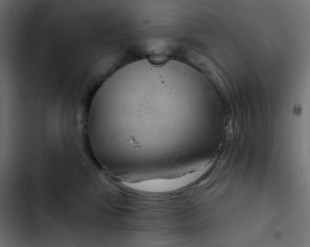 X0000103320424200809261141