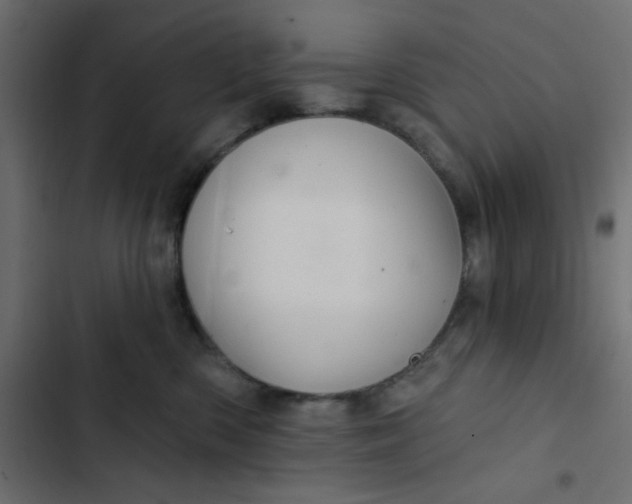 X0000103320426200809261141