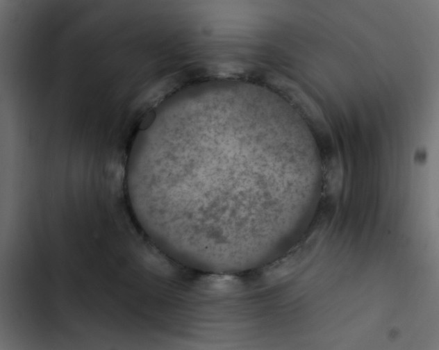 X0000103320427200809261141