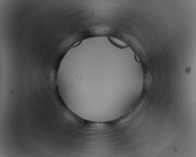 X0000103320428200809261141