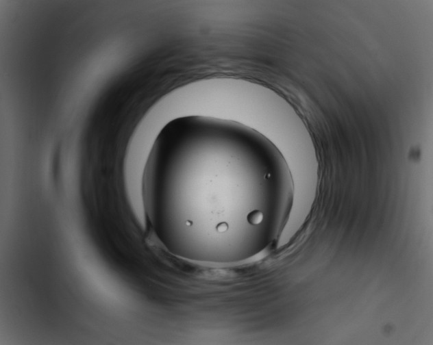 X0000103320429200809261141