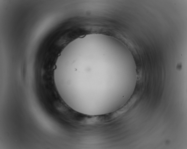 X0000103320430200809261141