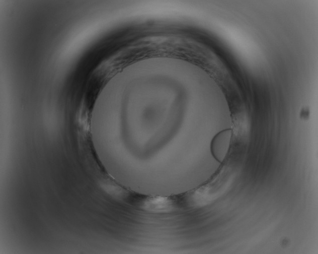 X0000103320431200809261141