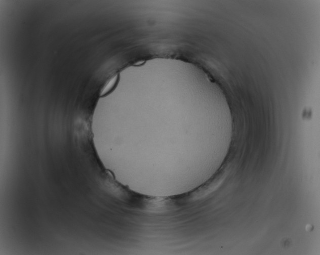 X0000103320432200809261141