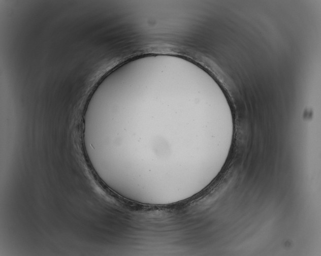 X0000103320433200809261140