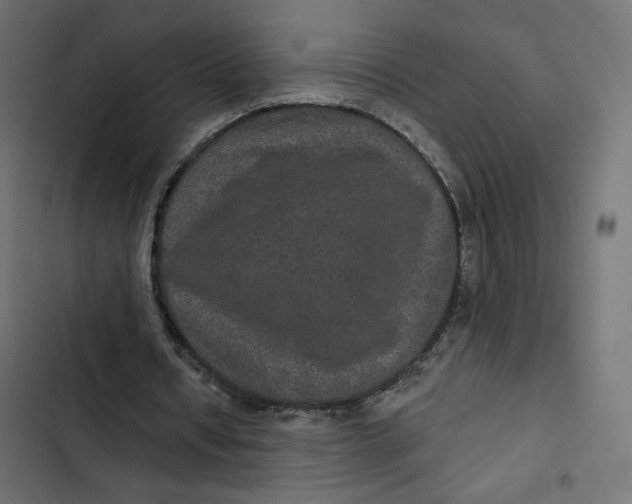 X0000103320434200809261140