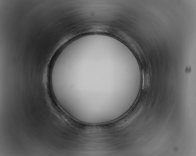 X0000103320435200809261140