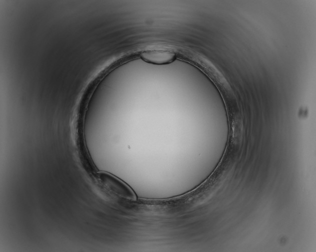 X0000103320436200809261140