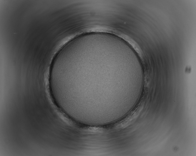 X0000103320437200809261140