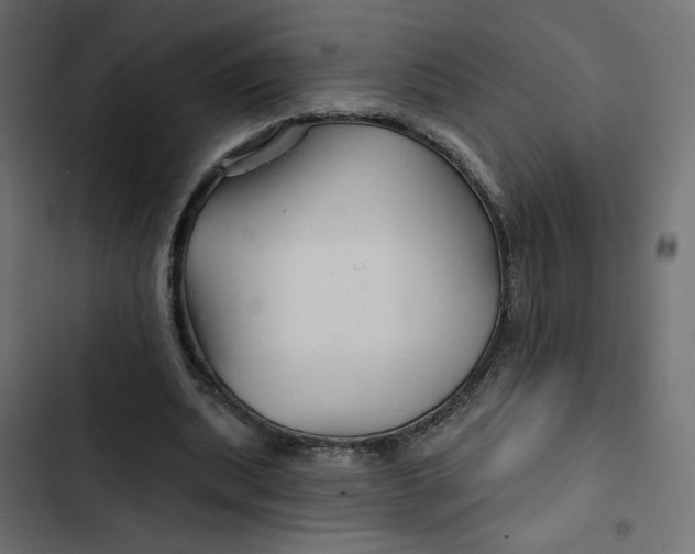 X0000103320439200809261140