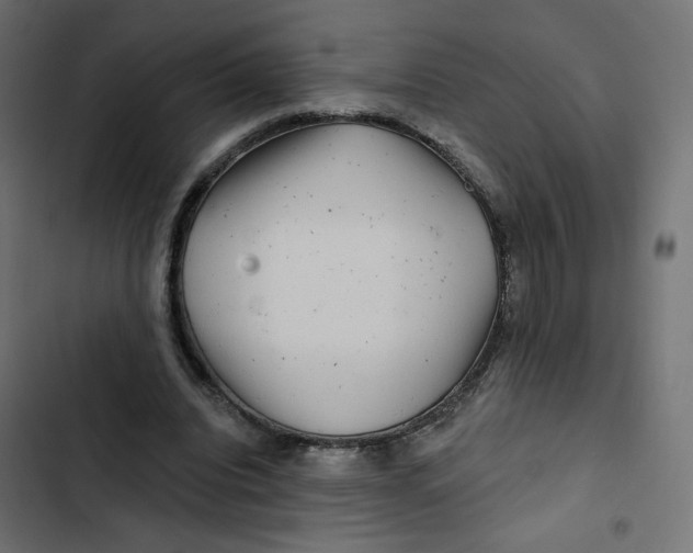 X0000103320440200809261140