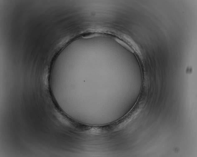 X0000103320441200809261140